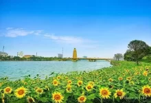 Công viên Văn Lang – Việt Trì, Phú Thọ, một điểm check-in rất đáng ghé nếu bạn lên kế hoạch khám phá vùng đất Tổ