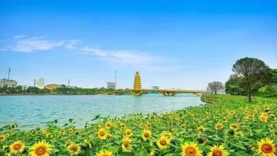 Công viên Văn Lang – Việt Trì, Phú Thọ, một điểm check-in rất đáng ghé nếu bạn lên kế hoạch khám phá vùng đất Tổ