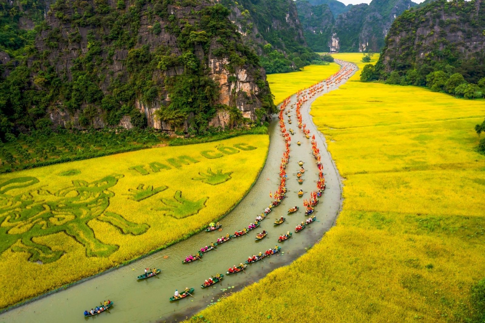 Tam Cốc – Bích Động: Tuyệt Tác Non Nước Giữa Lòng Ninh Bình