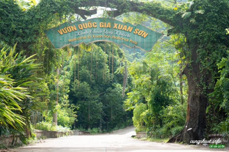 Vườn Quốc gia Xuân Sơn: Viên Ngọc Xanh Phú Thọ Hòa Mình Thiên Nhiên